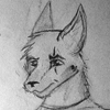 GreyCoyote's Avatar